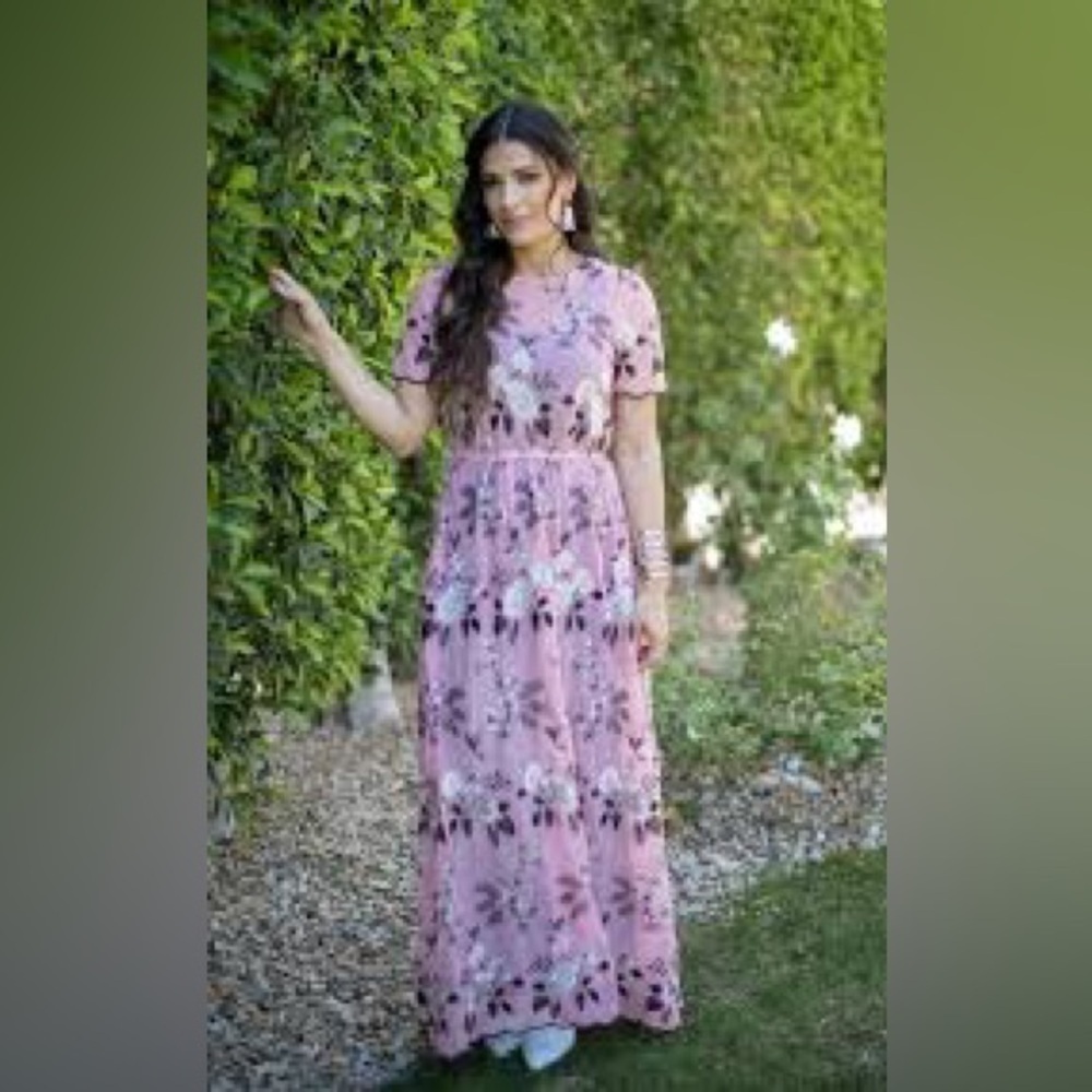 Deanne 2 Sheer Pink Embroidered Dress